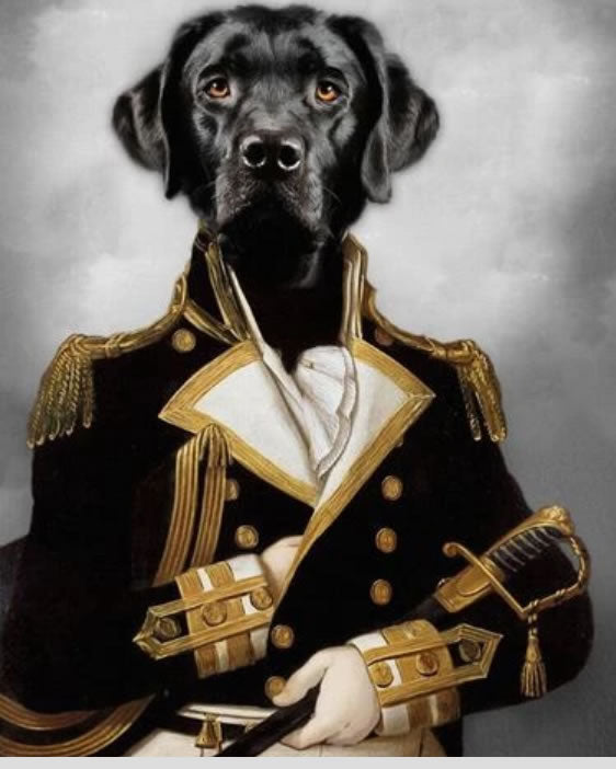 Retrato Royal Personalizado de tu Perro - Perro Rey